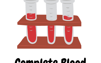 Complete Blood Count (CBC) Test